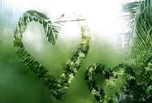 开云APP-利物浦外援训练状态火热，世俱杯淘汰赛关键战