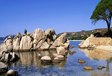 开云APP-绿茵场惊雷！国足补时绝杀掀翻蓝衣军团世界杯死亡之组瞬间洗牌