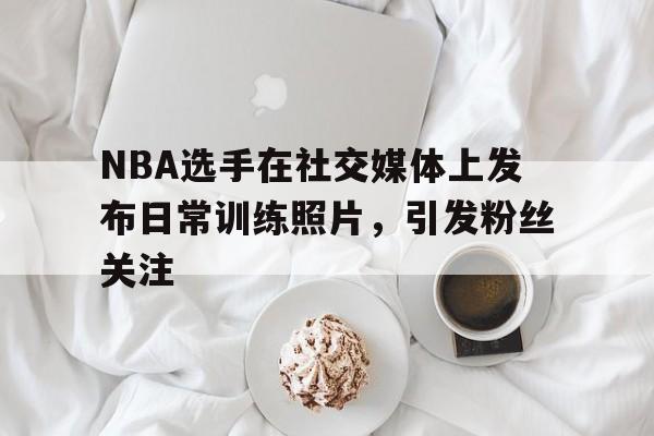 开云体育中国-NBA选手在社交媒体上发布日常训练照片，引发粉丝关注的简单介绍