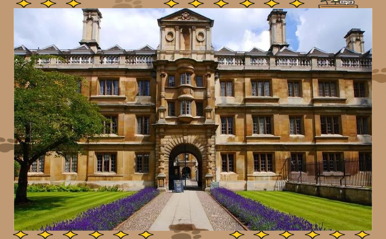 捷克国家队队员发挥失常，悲遭淘汰命运的简单介绍