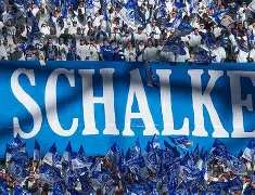 包含沙尔克04的失利：危机四伏的蓝白军团的词条