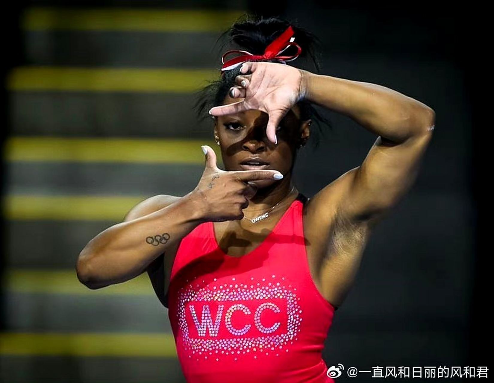 关于体操项目迎来新秀，美国选手获得银牌的信息