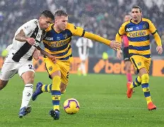 帕尔马对摩图纳域的势均力敌