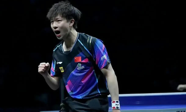 奥地利队碾压法国队，林高远高光表现的简单介绍